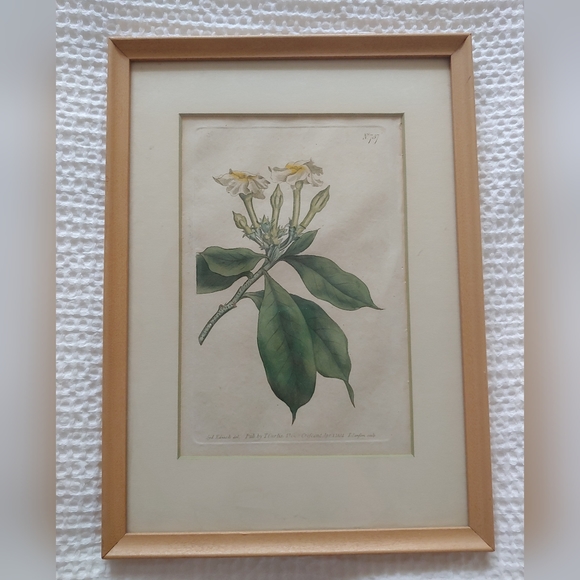 Wall Decor Vintage Framed Botanical Print Poshmark
